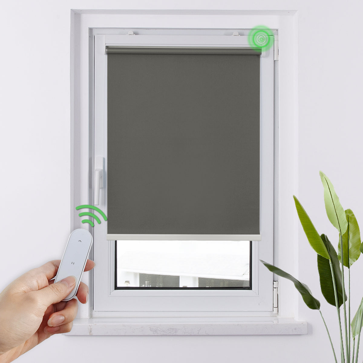 Elektrisches Verdunkelungsrollo ohne Bohren | Sonnenschutz & Sichtschutz | Aubor