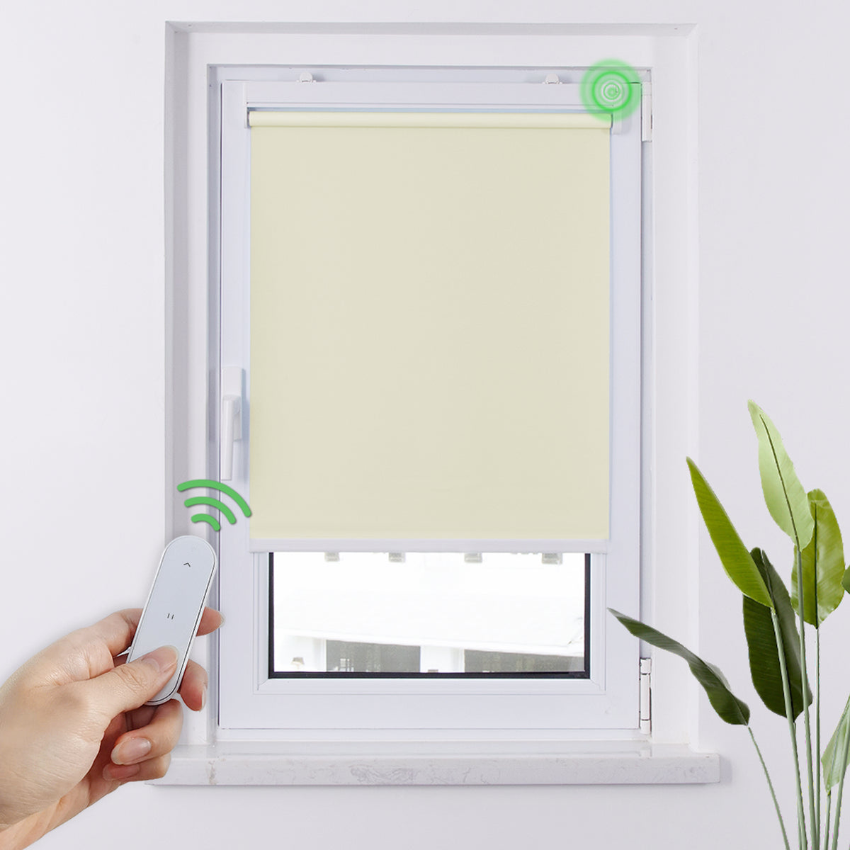 Elektrisches Verdunkelungsrollo ohne Bohren | Sonnenschutz & Sichtschutz | Aubor